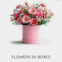 Flowers in boxes